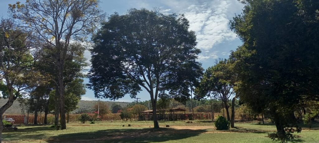 Fazenda 100ha- Rio – Casa Sede – 13km de Alto Paraíso e 1km de Terra