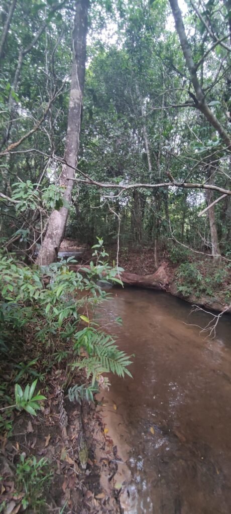 Maravilhosa Chácara 20ha – Recifra – Alto Paraíso de Goiás