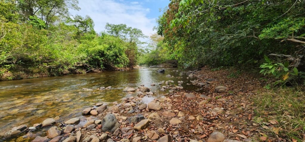 Chácara 4ha Beira Rio São Miguel – 17km de São Jorge – Chapada dos Veadeiros