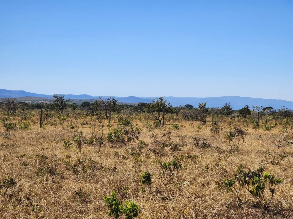 Chácara 4ha – Poço artesiano – 5km de Alto Paraíso sentido Cachoeira dos Cristais – Chapada dos Veadeiros
