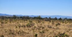 Chácara 4ha – Poço artesiano – 5km de Alto Paraíso sentido Cachoeira dos Cristais – Chapada dos Veadeiros