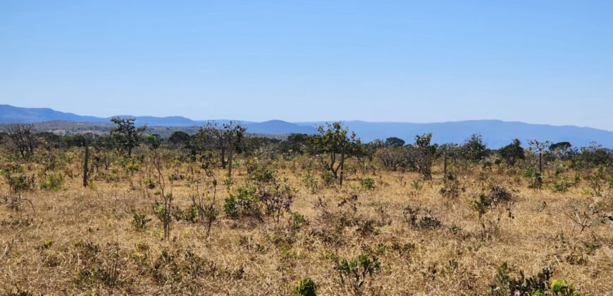 Chácara 4ha – Poço artesiano – 5km de Alto Paraíso sentido Cachoeira dos Cristais – Chapada dos Veadeiros
