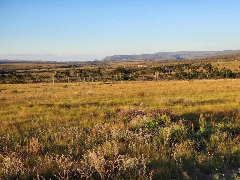 Chácara 8 ha – Porteira Fechada – Vale Verde – Sentido Pousada Inácia, Aldeia Multiétnica – Alto Paraíso de Goiás