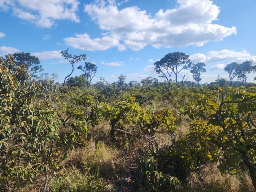Vende-se Lote 2.700m2 – Alto Paraíso de Goiás
