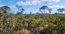 Vende-se Lote 2.700m2 – Alto Paraíso de Goiás Vende-se Lote 2.700m2 – Alto Paraíso de Goiás