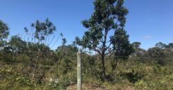 Chácara 4ha – 4km de Alto Paraíso Sentido Cachoeira dos Cristais