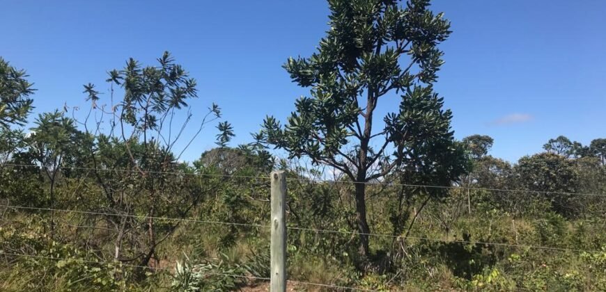 Chácara 4ha – 4km de Alto Paraíso Sentido Cachoeira dos Cristais