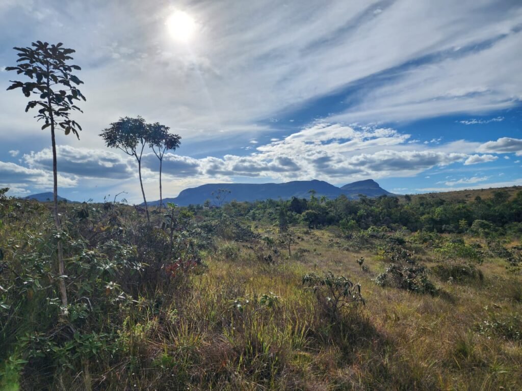 Chácara 5,30ha – Rio – Morro da Baleia – 13 km de Alto Paraíso de Goiás sentido São Jorge