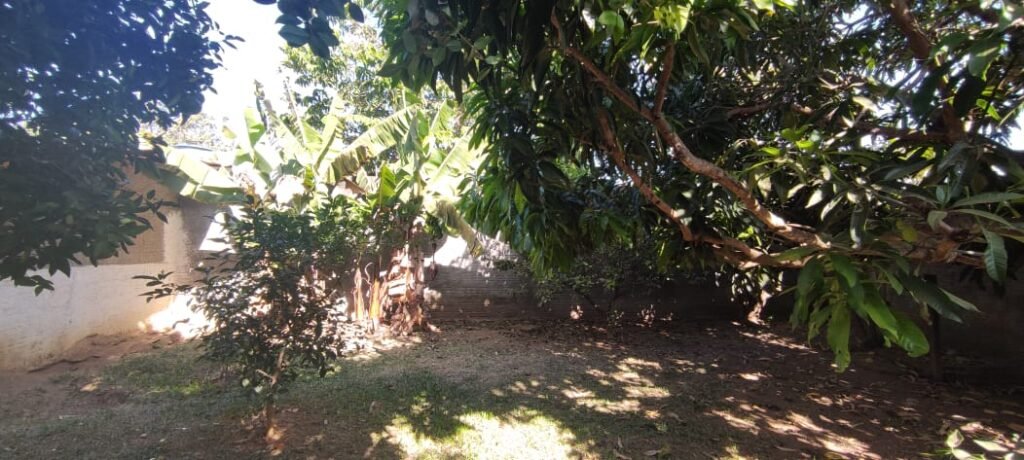 Casa – Quintal com Fruteiras – Monte Sinai – Alto Paraíso de Goiás