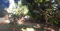 Casa – Quintal com Fruteiras – Monte Sinai – Alto Paraíso de Goiás