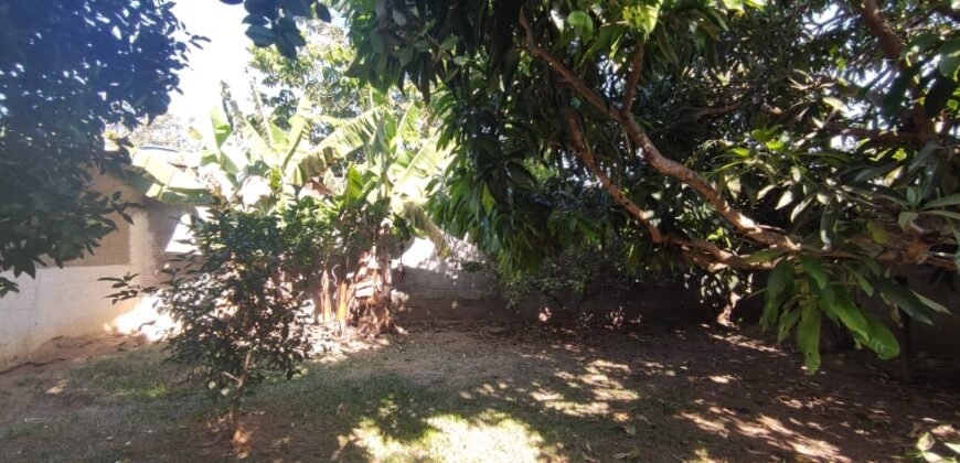 Casa – Quintal com Fruteiras – Monte Sinai – Alto Paraíso de Goiás