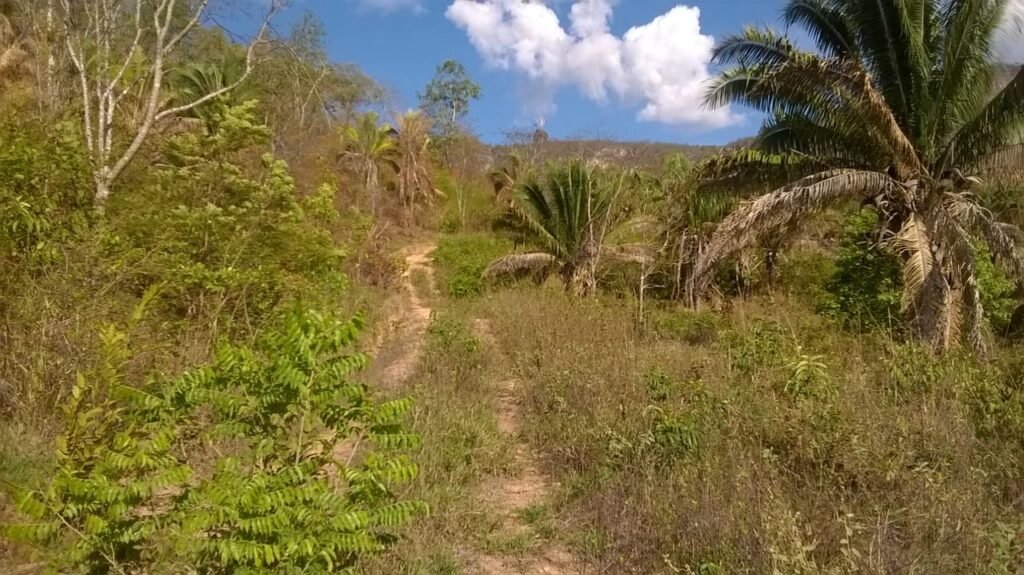 Chácara 14,6ha- Linda Vista – Poço artesiano – na Fazenda Santa Rita – 14km de Alto Paraíso de Goiás