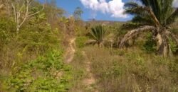 Chácara 14,6ha- Linda Vista – Poço artesiano – na Fazenda Santa Rita – 14km de Alto Paraíso de Goiás Chácara 14,6ha- Linda Vista – Poço artesiano – na Fazenda Santa Rita – 14km de Alto Paraíso de Goiás