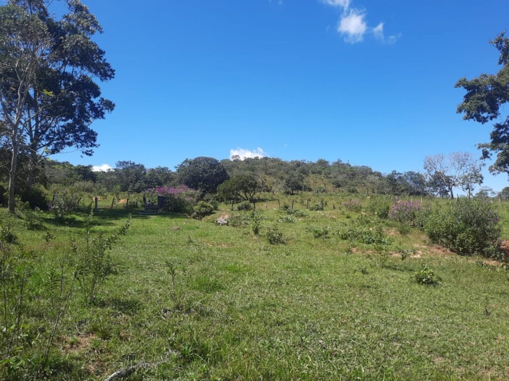 Chácara 2.7 Alq. – Povoado Bandeira – Rio – Nascente – 24km de Alto Paraíso de Goiás