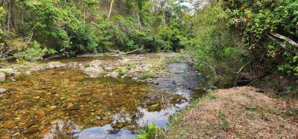 Chácara 11ha Beira Rio São Miguel – 17km de São Jorge – Chapada dos Veadeiros