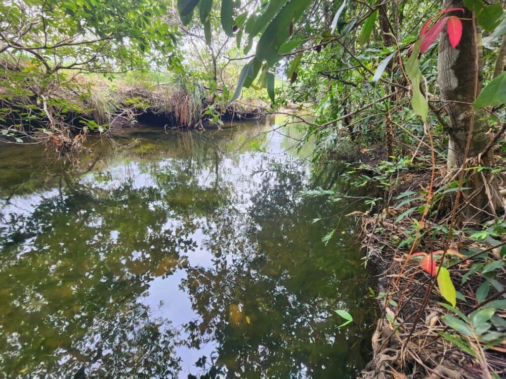 Chácara – Porteira Fechada – Rio – 5.7ha -Vale Verde – Alto Paraíso de Goiás