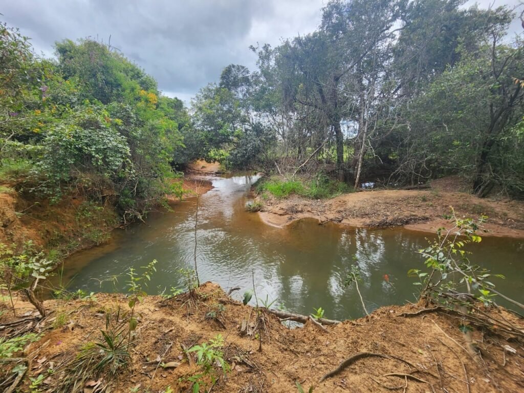 Casa – Rio – área 3,5ha – 9 km da Cachoeira Macaquinhos – Povoado Vereda – Alto Paraíso de Goiás