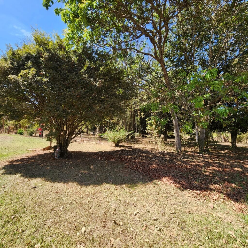 Fazenda 100ha- Rio – Casa Sede – 13km de Alto Paraíso e 1km de Terra