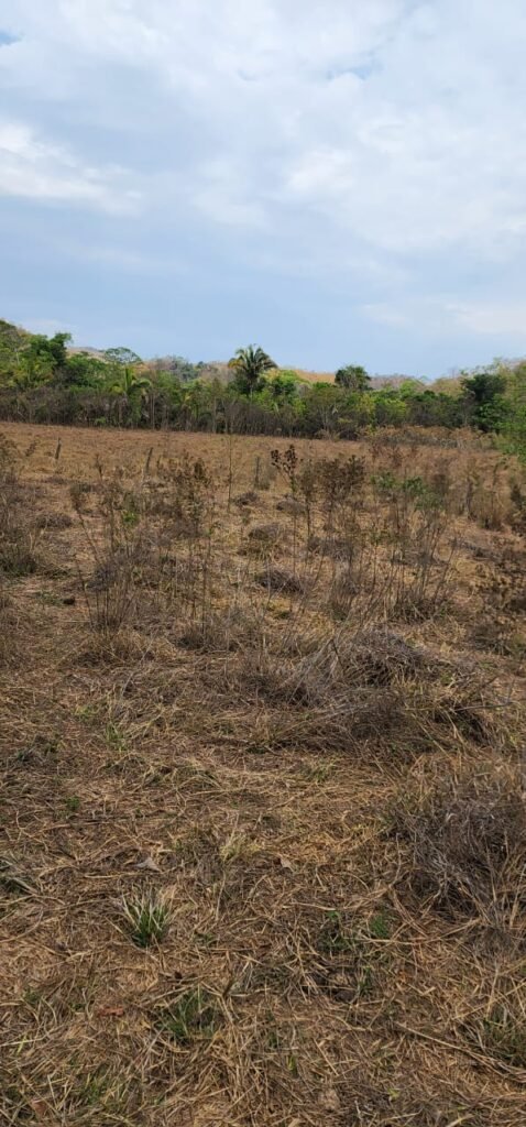 Chácara 4ha Beira Rio São Miguel – 17km de São Jorge – Chapada dos Veadeiros