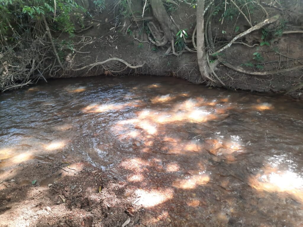 Chácara 2.7 Alq. – Povoado Bandeira – Rio – Nascente – 24km de Alto Paraíso de Goiás