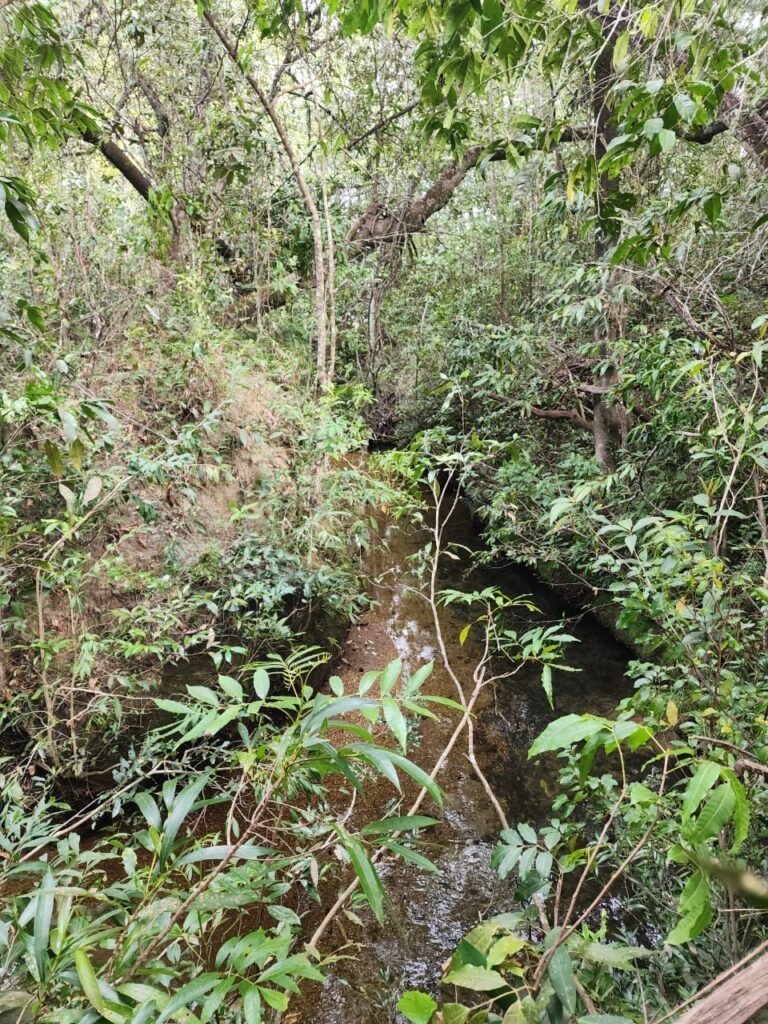 Chácara 5,30ha – Rio – Morro da Baleia – 13 km de Alto Paraíso de Goiás sentido São Jorge