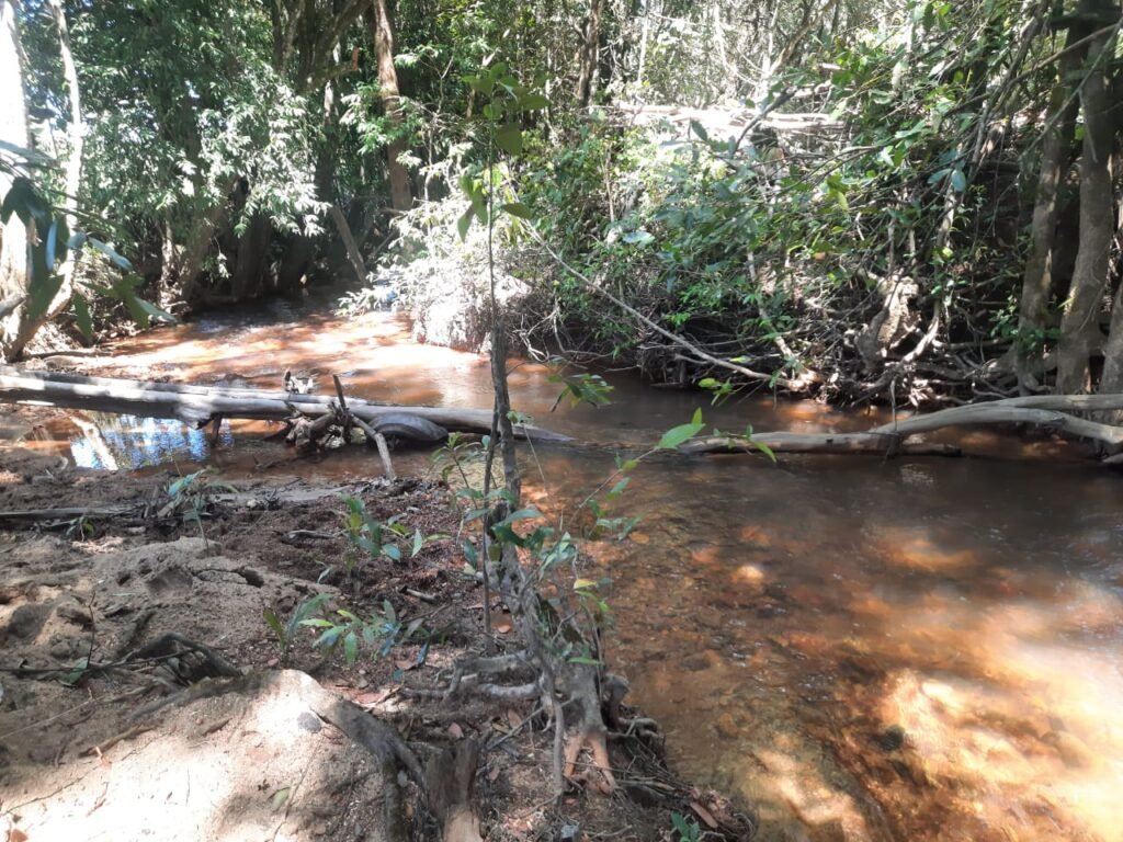Chácara 2.7 Alq. – Povoado Bandeira – Rio – Nascente – 24km de Alto Paraíso de Goiás