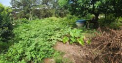 Casa – Rio – Lote 9.000 m2 – Alto Paraíso de Goiás