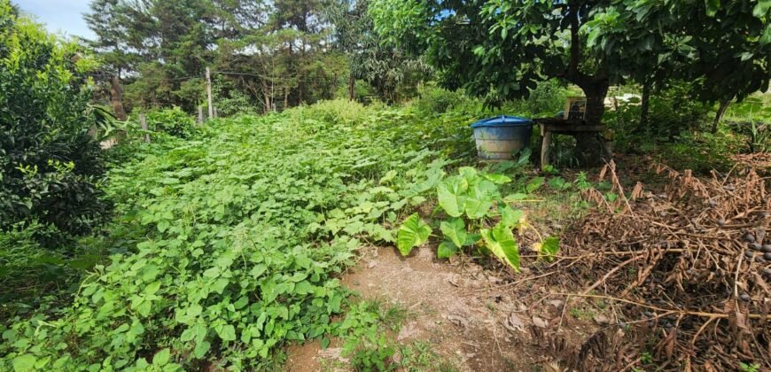 Casa – Rio – Lote 9.000 m2 – Alto Paraíso de Goiás