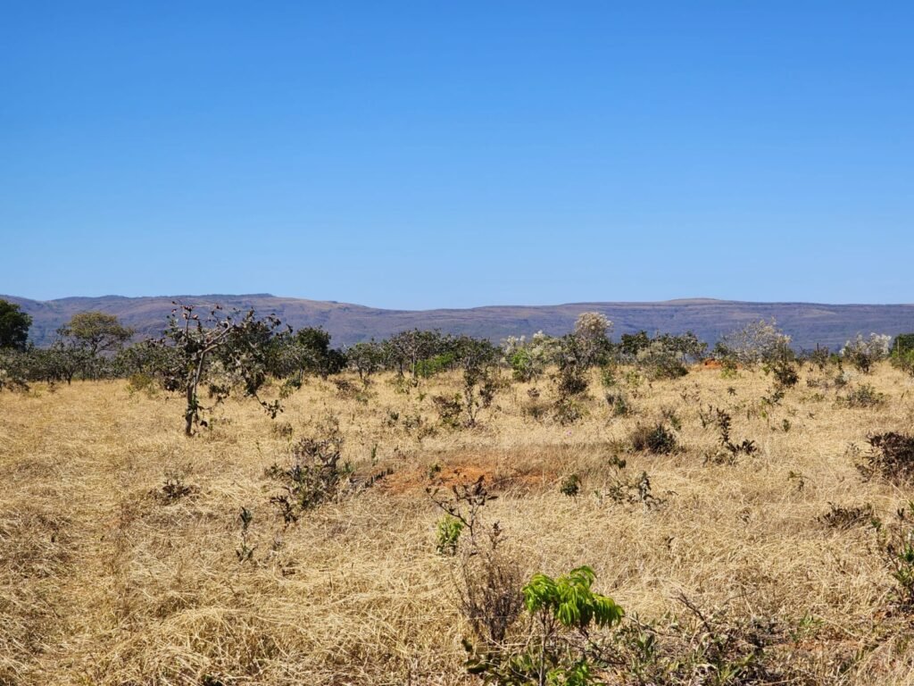 Chácara 4ha – Poço artesiano – 5km de Alto Paraíso sentido Cachoeira dos Cristais – Chapada dos Veadeiros