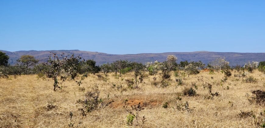 Chácara 4ha – Poço artesiano – 5km de Alto Paraíso sentido Cachoeira dos Cristais – Chapada dos Veadeiros