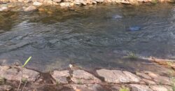 Chácara Suçuarana com RIO, Próximo a Cachoeira do Poço Encantado – Chapada dos Veadeiros