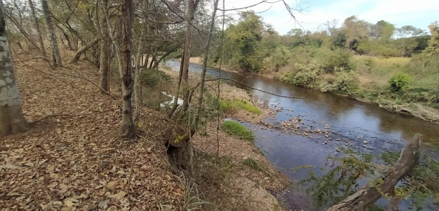 Fazenda 51ha – Beira Rio – Sertão – Alto Paraíso de Goiás