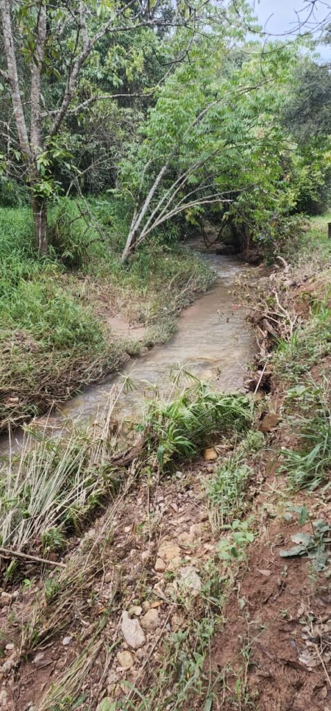 Casa – Rio – Lote 9.000 m2 – Alto Paraíso de Goiás