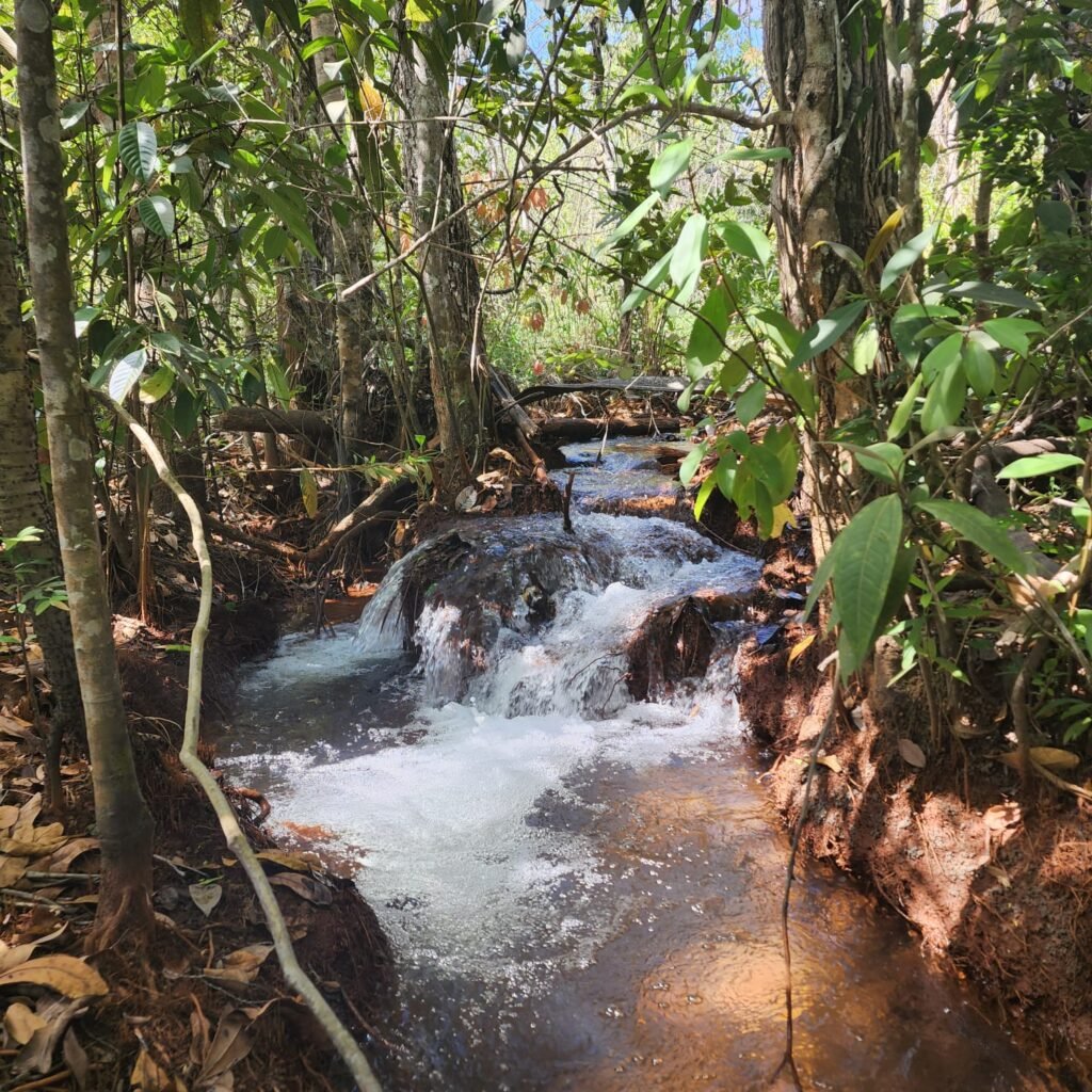 Fazenda 100ha- Rio – Casa Sede – 13km de Alto Paraíso e 1km de Terra