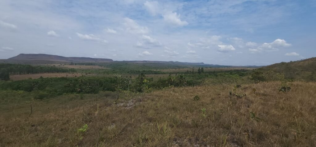 Chácara 4 ha – 13 km de Alto Paraíso sentido São Jorge