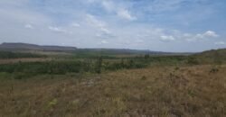 Chácara 4 ha – 13 km de Alto Paraíso sentido São Jorge