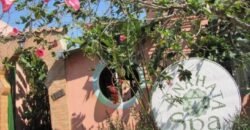 Casa – Rua da Palha – Centro – Alto Paráiso de Goiás