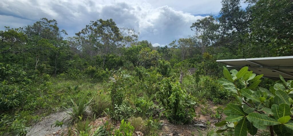 Fazenda 76 ha – Cachoeira – 12km Teresina de Goiás – Chapada dos Veadeiros