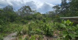 Fazenda 76 ha – Cachoeira – 12km Teresina de Goiás – Chapada dos Veadeiros