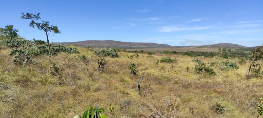 Chácara 5ha – na  Fazenda São Bento – entre Alto Paraíso e São Jorge