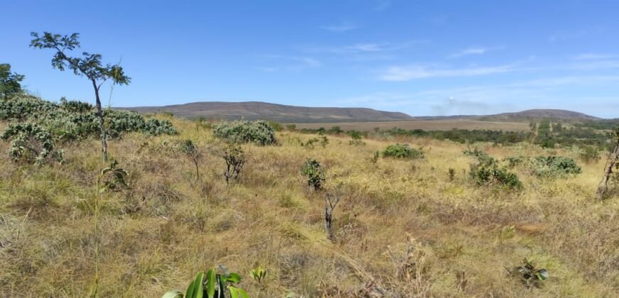 Chácara 5ha – na  Fazenda São Bento – entre Alto Paraíso e São Jorge