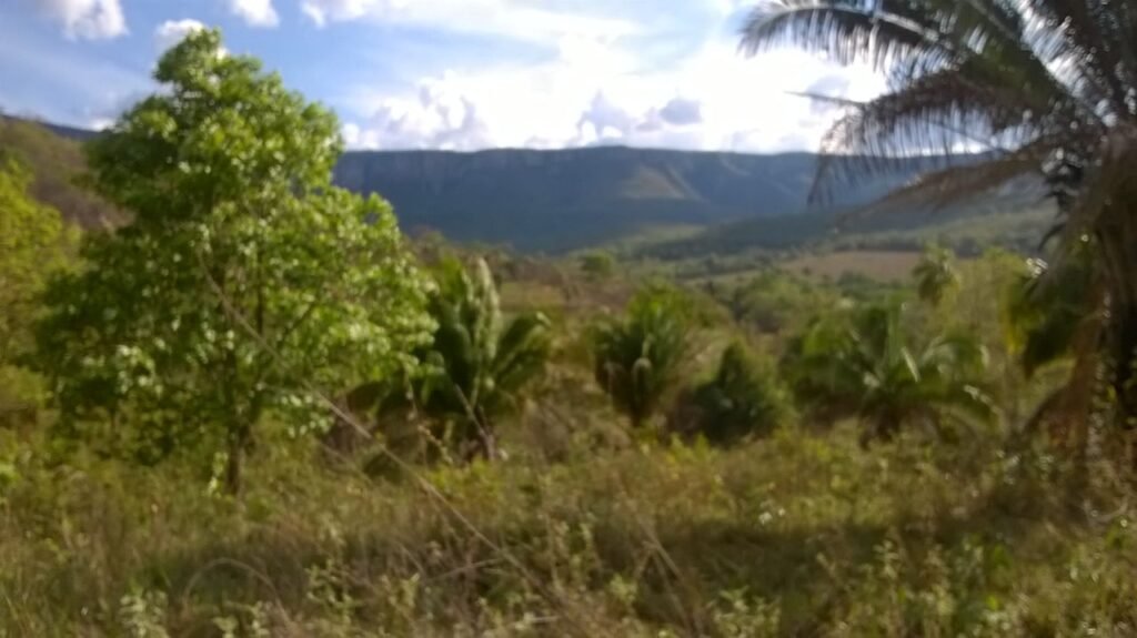 Chácara 14,6ha- Linda Vista – Poço artesiano – na Fazenda Santa Rita – 14km de Alto Paraíso de Goiás