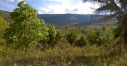 Chácara 14,6ha- Linda Vista – Poço artesiano – na Fazenda Santa Rita – 14km de Alto Paraíso de Goiás Chácara 14,6ha- Linda Vista – Poço artesiano – na Fazenda Santa Rita – 14km de Alto Paraíso de Goiás