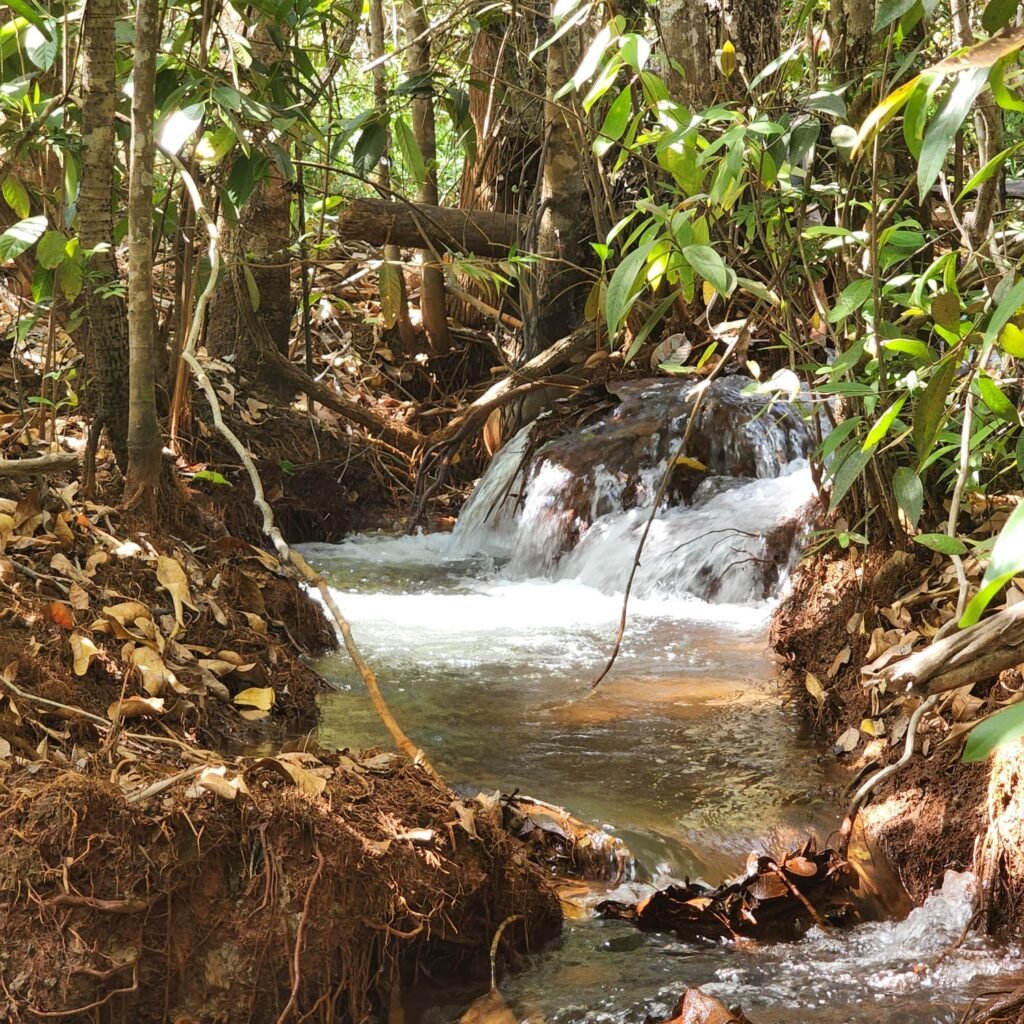 Fazenda 100ha- Rio – Casa Sede – 13km de Alto Paraíso e 1km de Terra