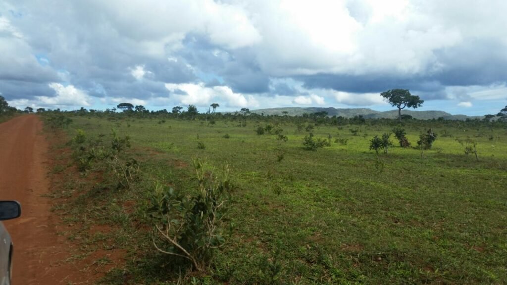 Chácara 4 ha – 5km de Alto Paraíso sentido Cachoeira dos Cristais