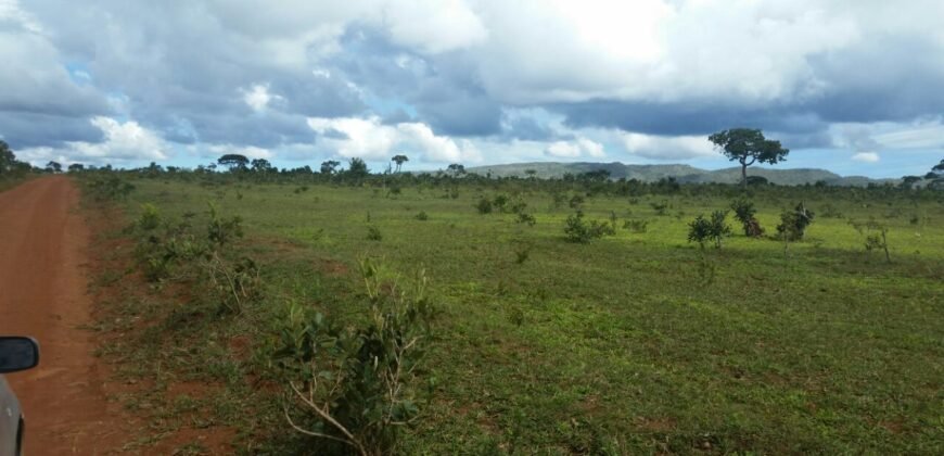 Chácara 4 ha – 5km de Alto Paraíso sentido Cachoeira dos Cristais