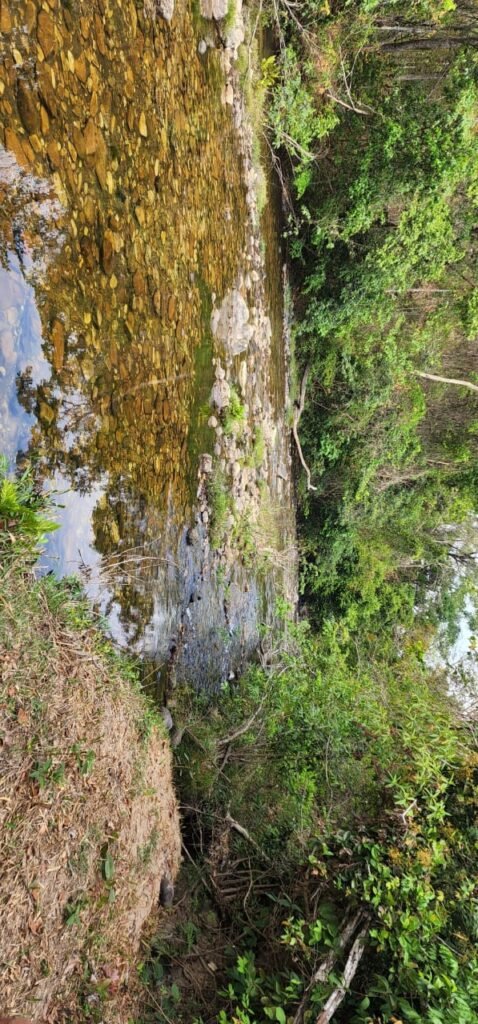 Chácara 4ha Beira Rio São Miguel – 17km de São Jorge – Chapada dos Veadeiros