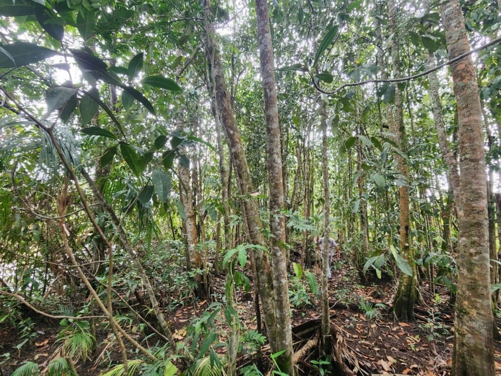 Chácara – Porteira Fechada – Rio – 5.7ha -Vale Verde – Alto Paraíso de Goiás