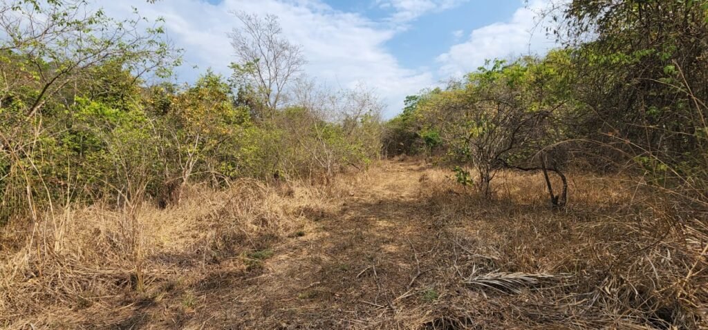 Chácara 4ha Beira Rio São Miguel – 17km de São Jorge – Chapada dos Veadeiros
