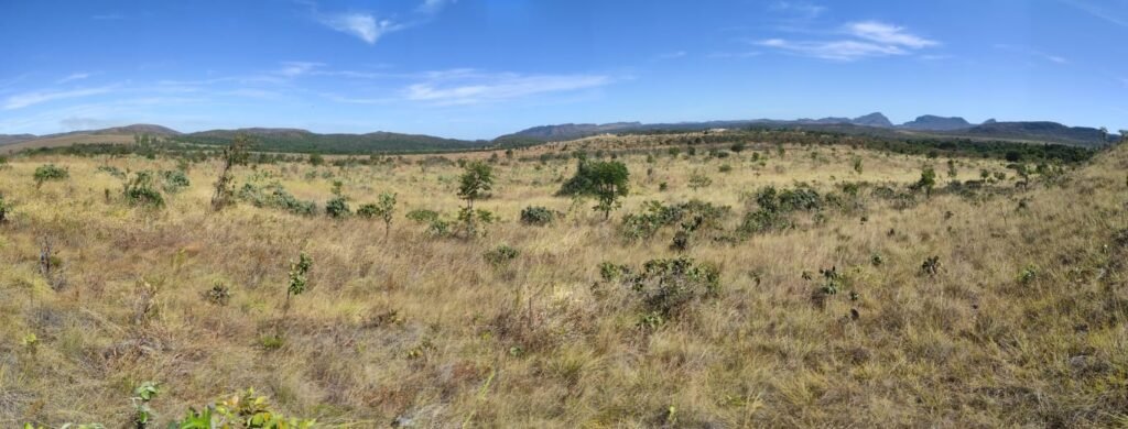 Chácara 5ha – na  Fazenda São Bento – entre Alto Paraíso e São Jorge